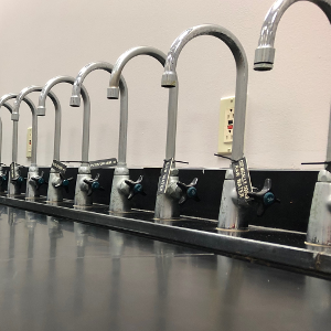 image of line of faucets